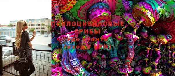 2c-b Рославль