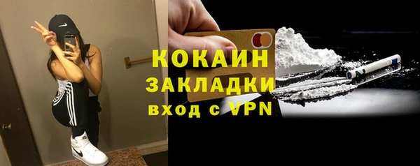2c-b Рославль