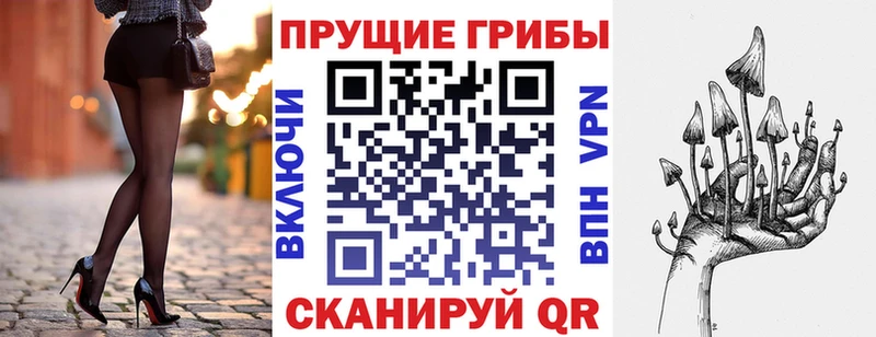 Псилоцибиновые грибы Psilocybine cubensis купить сайты Спас-Деменск
